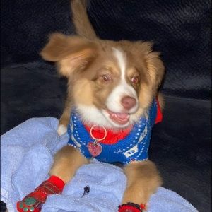 Meet your Posher, Violeta